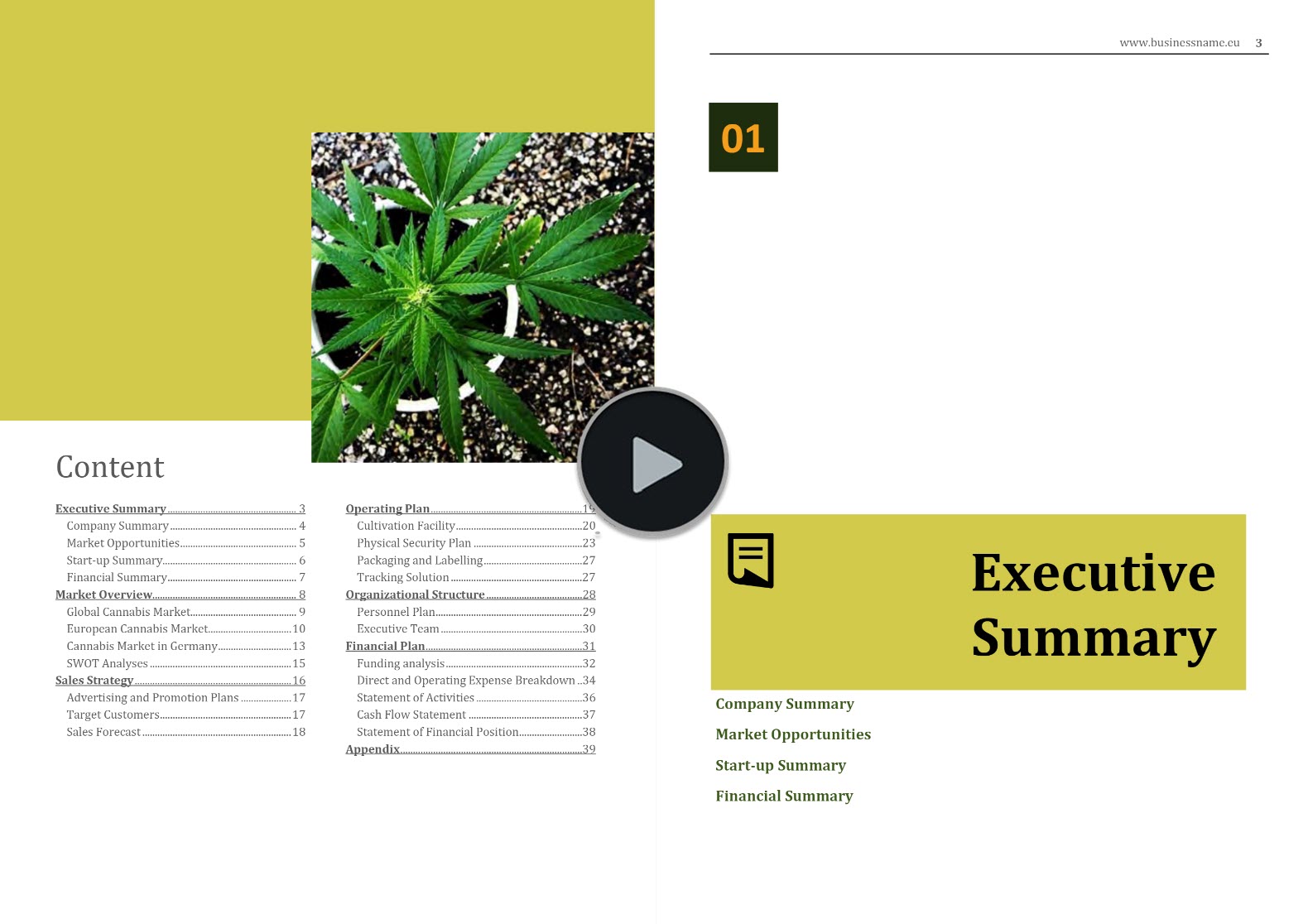 Cannabis Social Club Business Plan Template