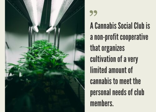 Cannabis Social Clubs. Which Countries Allow Cannabis Social Clubs? 2025 Update