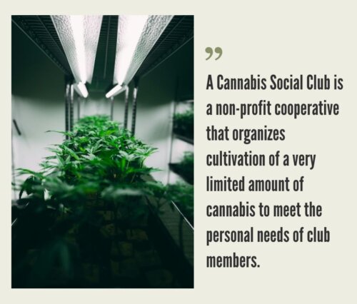 Cannabis Social Clubs. Which Countries Allow Cannabis Social Clubs? 2025 Update