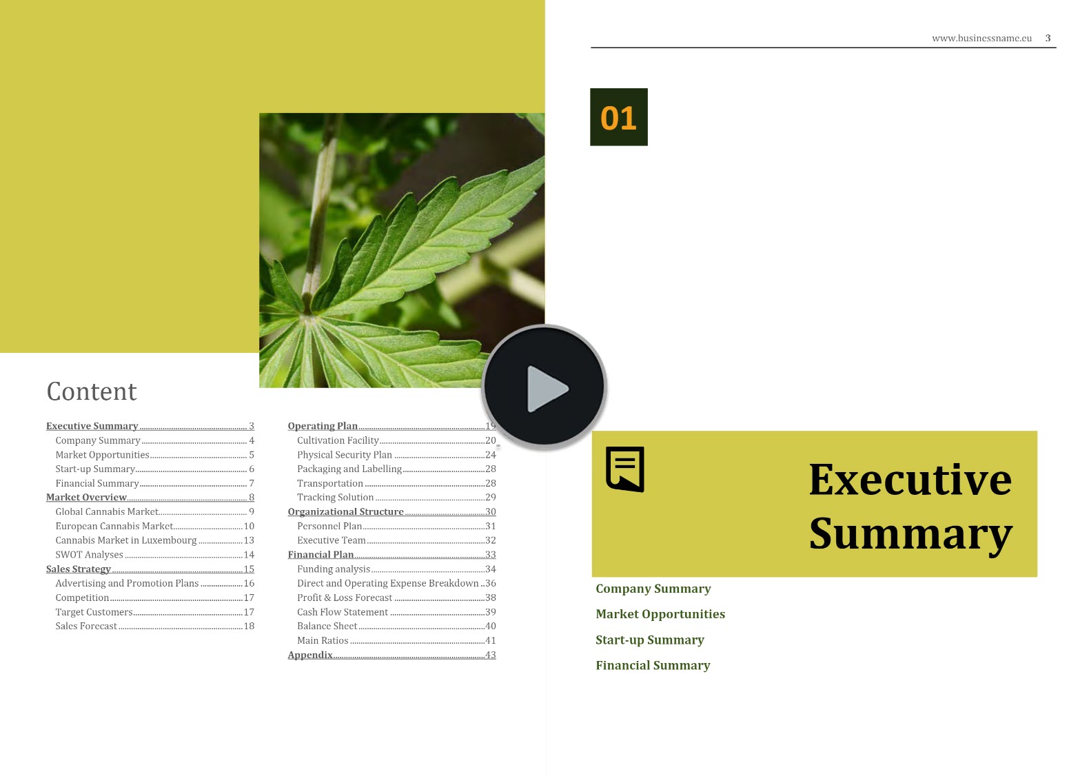 Luxembourg Cannabis Market
