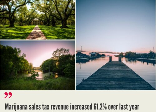 Louisiana Cannabis Market