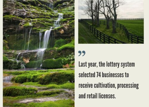 How to Start a Cannabis Business in Kentucky