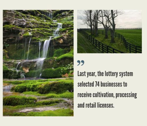 How to Start a Cannabis Business in Kentucky