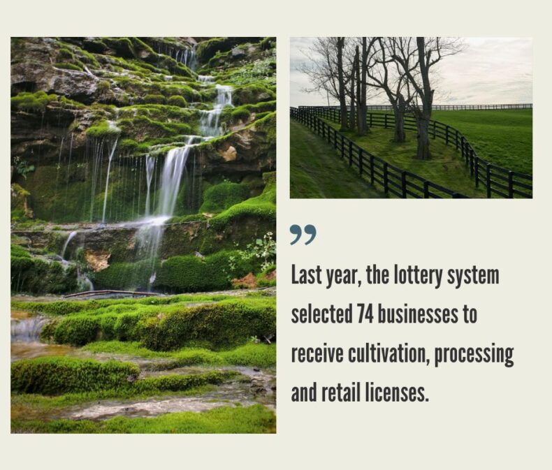 How to Start a Cannabis Business in Kentucky