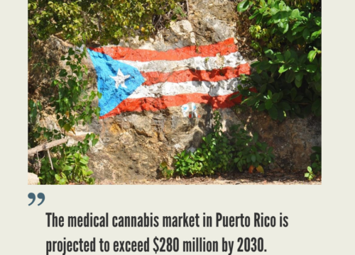 Puerto Rico Cannabis Industry
