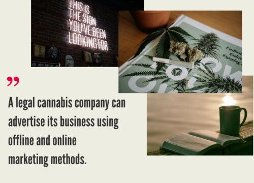 How Do You Advertise Your Cannabis Business?