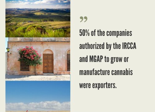 Uruguay Cannabis Market