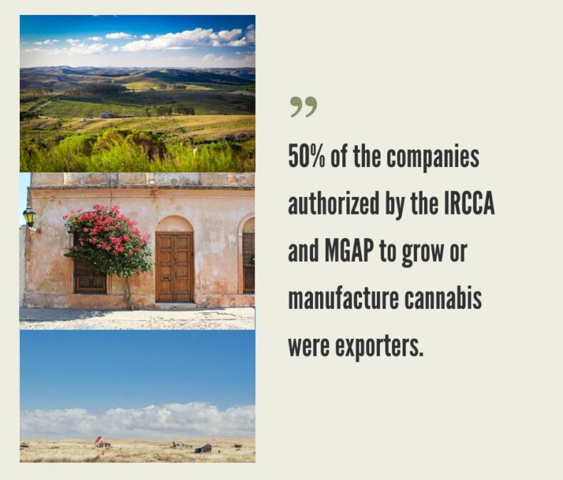 Uruguay Cannabis Market