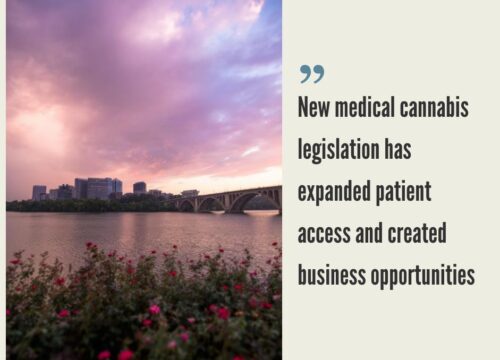 How to Start a Cannabis Business in Washington DC?