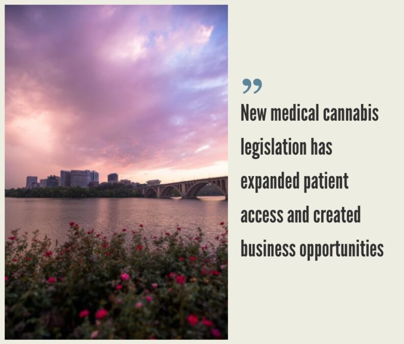 How to Start a Cannabis Business in Washington DC?