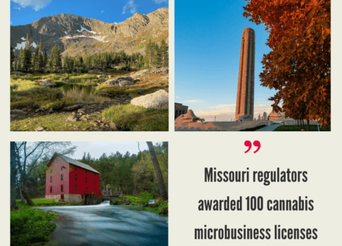 How to Start a Cannabis Business in Missouri?