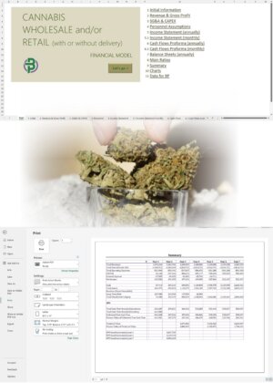 Cannabis Wholesale Retail Financial Model