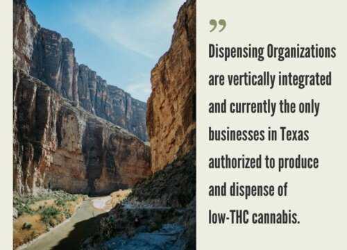 How to Start a Cannabis Business in Texas?