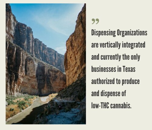 How to Start a Cannabis Business in Texas?