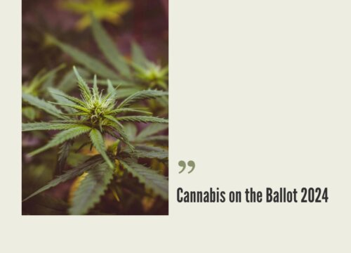 2024 Cannabis Reform Ballot, November 5