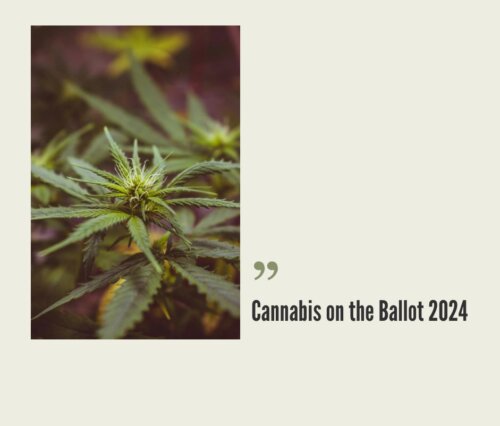 2024 Cannabis Reform Ballot, November 5