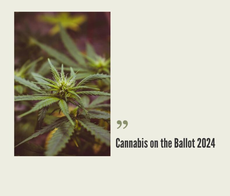 2024 Cannabis Reform Ballot, November 5