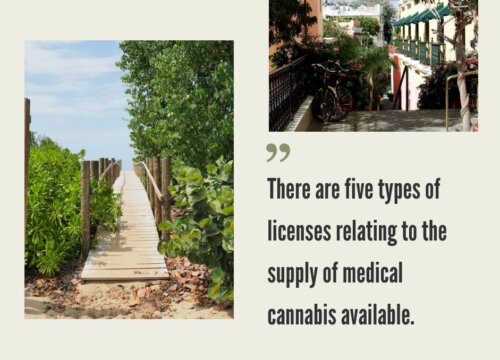 How to Start a Cannabis Business in Puerto Rico?