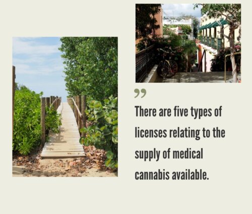 How to Start a Cannabis Business in Puerto Rico?