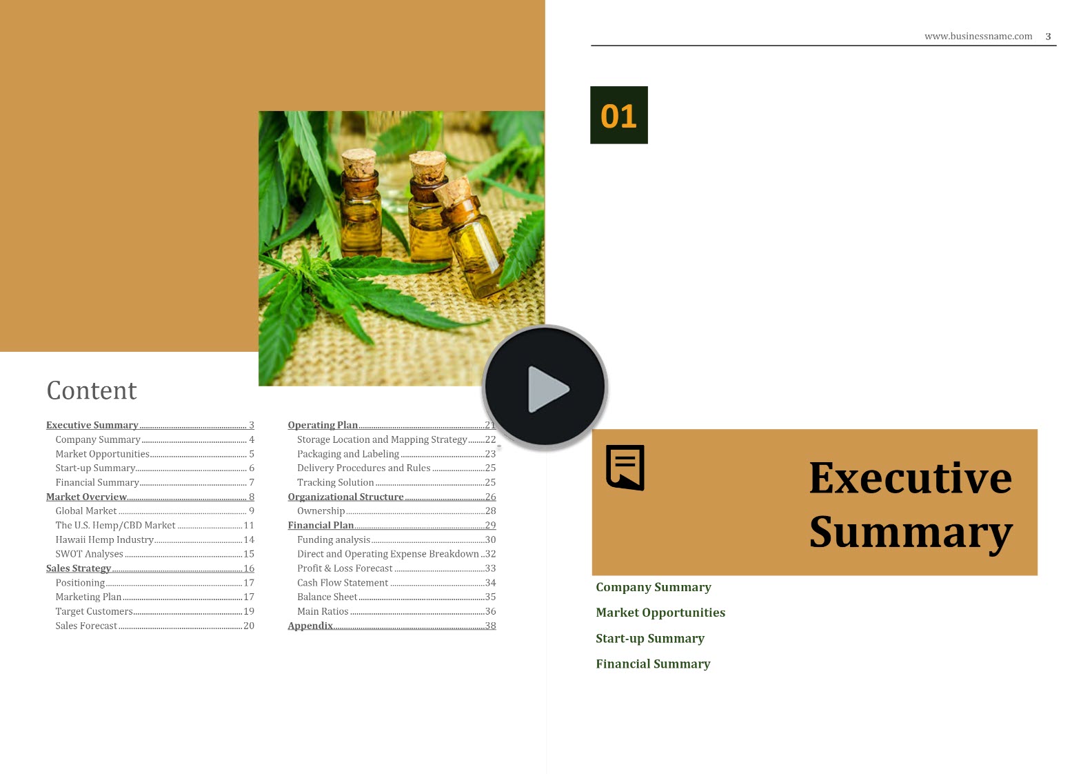 CBD Products Online Store Business Plan Template