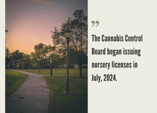 How to Start a Cannabis Business in Vermont?