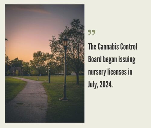 How to Start a Cannabis Business in Vermont?