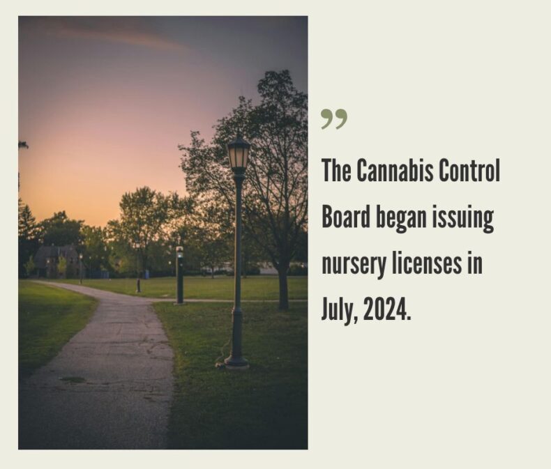 How to Start a Cannabis Business in Vermont?