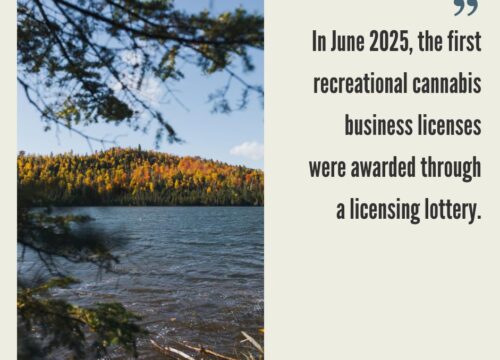 How to Start a Cannabis Business in Minnesota?