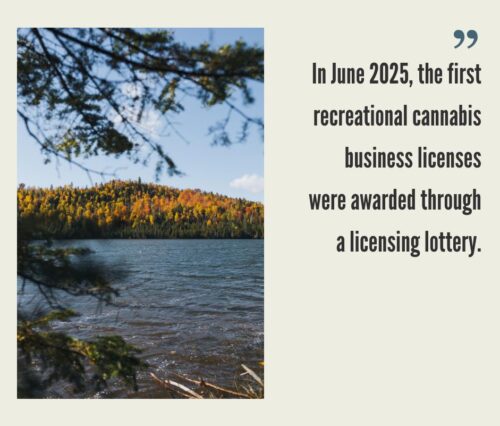 How to Start a Cannabis Business in Minnesota?