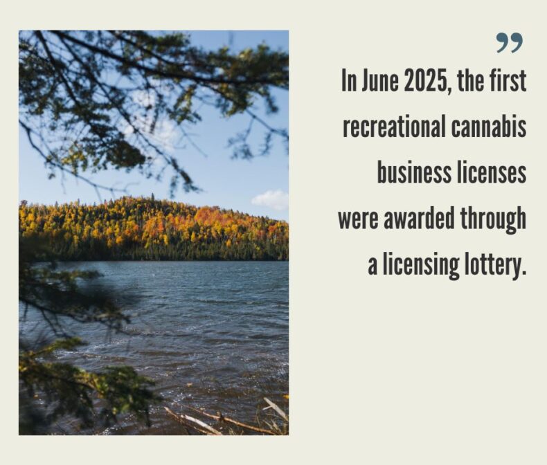 How to Start a Cannabis Business in Minnesota?