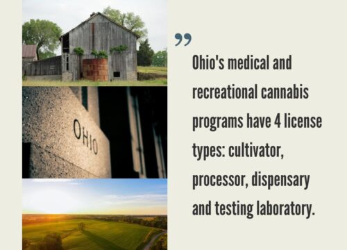 How to Start a Cannabis Business in Ohio?