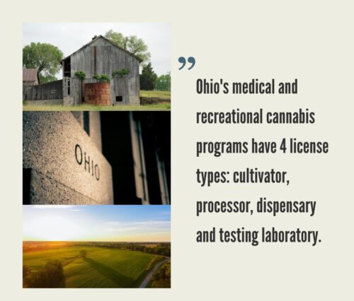 How to Start a Cannabis Business in Ohio?