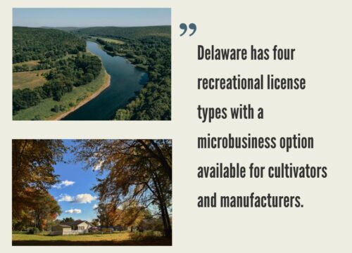 How to Start a Cannabis Business in Delaware?