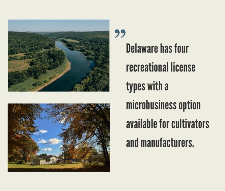 How to Start a Cannabis Business in Delaware?