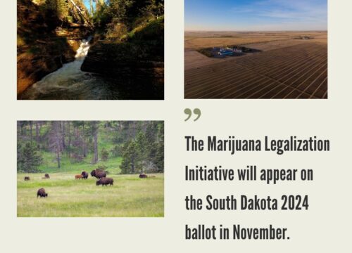How to Start a Cannabis Business in South Dakota?
