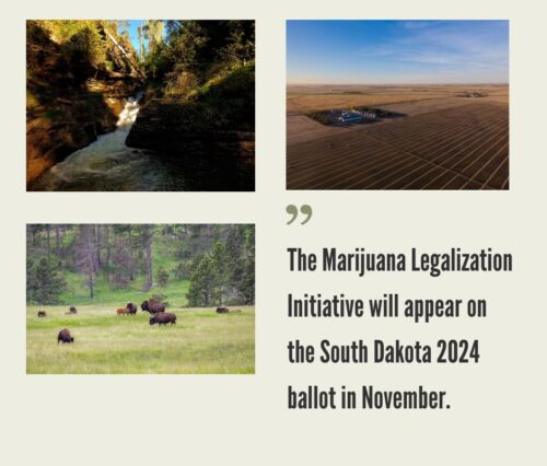 How to Start a Cannabis Business in South Dakota?
