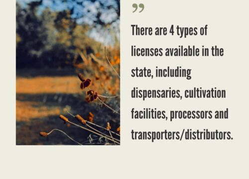 How to Start a Cannabis Business in Arkansas?