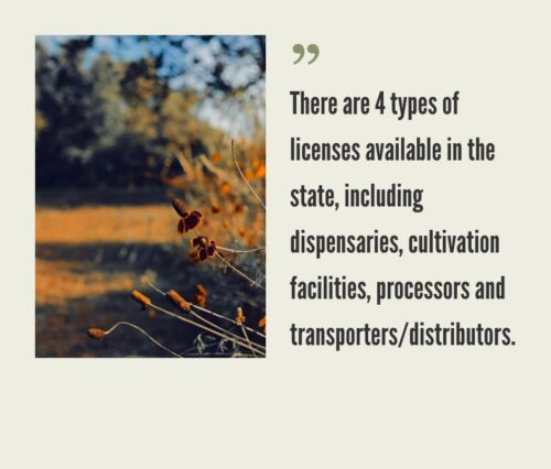 How to Start a Cannabis Business in Arkansas?