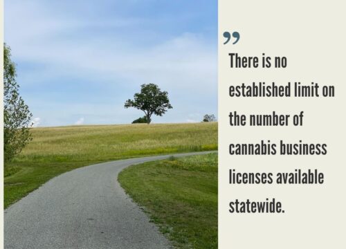 How to Start a Cannabis Business in New Jersey?