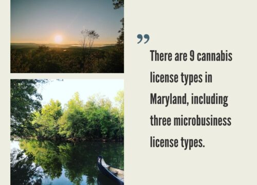 How to Start a Cannabis Business in Maryland?