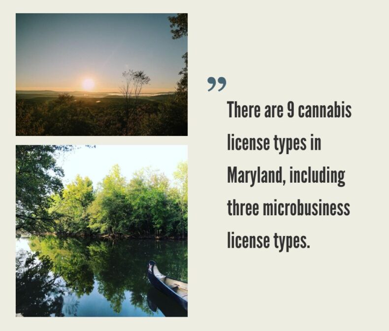 How to Start a Cannabis Business in Maryland?