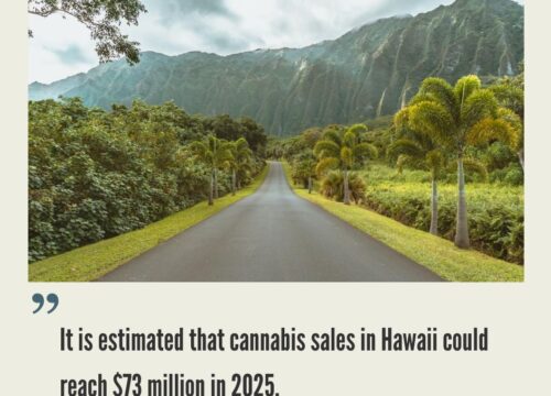Hawaii Cannabis Market