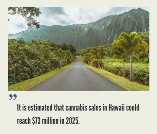 Hawaii Cannabis Market