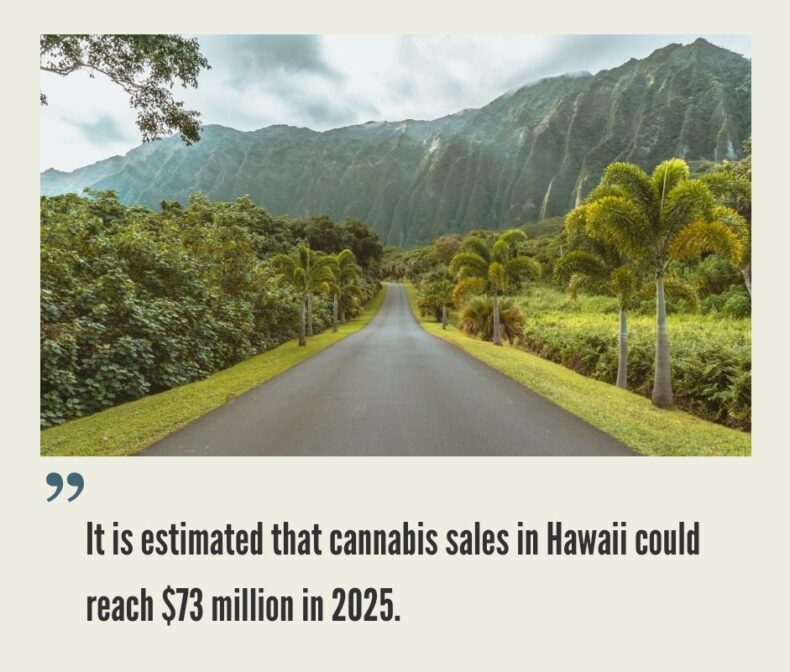 Hawaii Cannabis Market