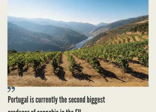 Cannabis Market in Portugal