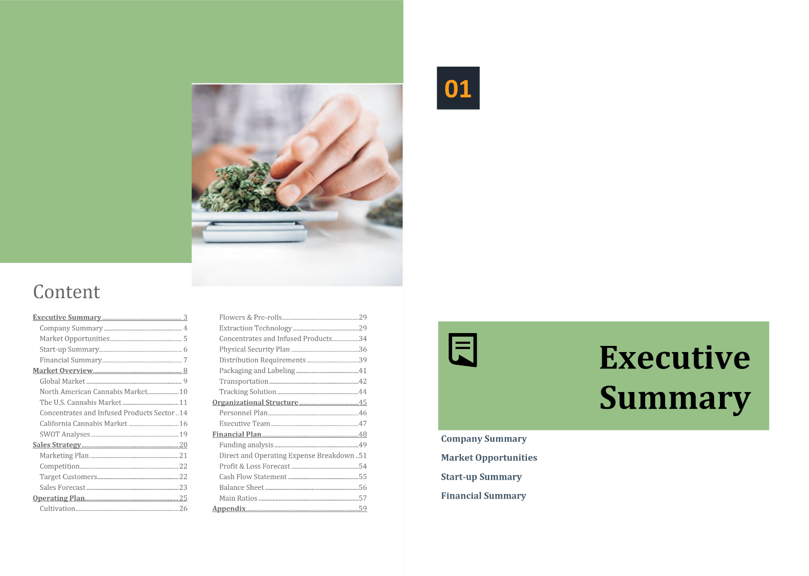 Cannabis Cultivation Extraction Manufacturing Distribution Business Plan