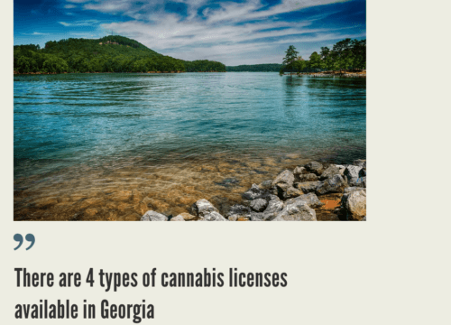 How to Start a Cannabis Business in Georgia?
