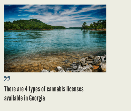 How to Start a Cannabis Business in Georgia?