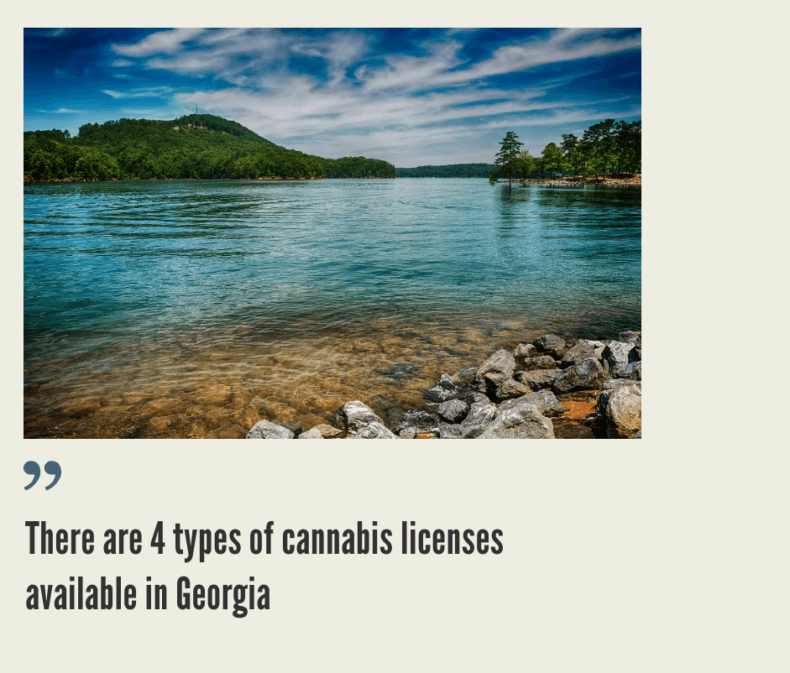 How to Start a Cannabis Business in Georgia?