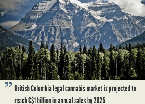 British Columbia Cannabis Market